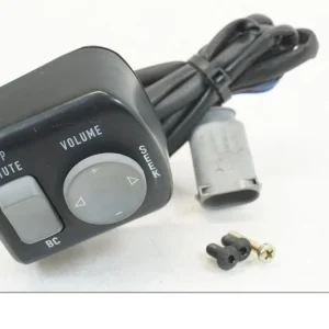 rádio BMW