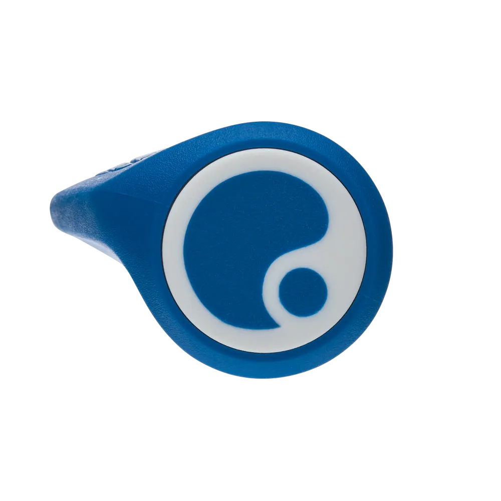ERGON GA3 Lock-On Grips 135 mm Blue