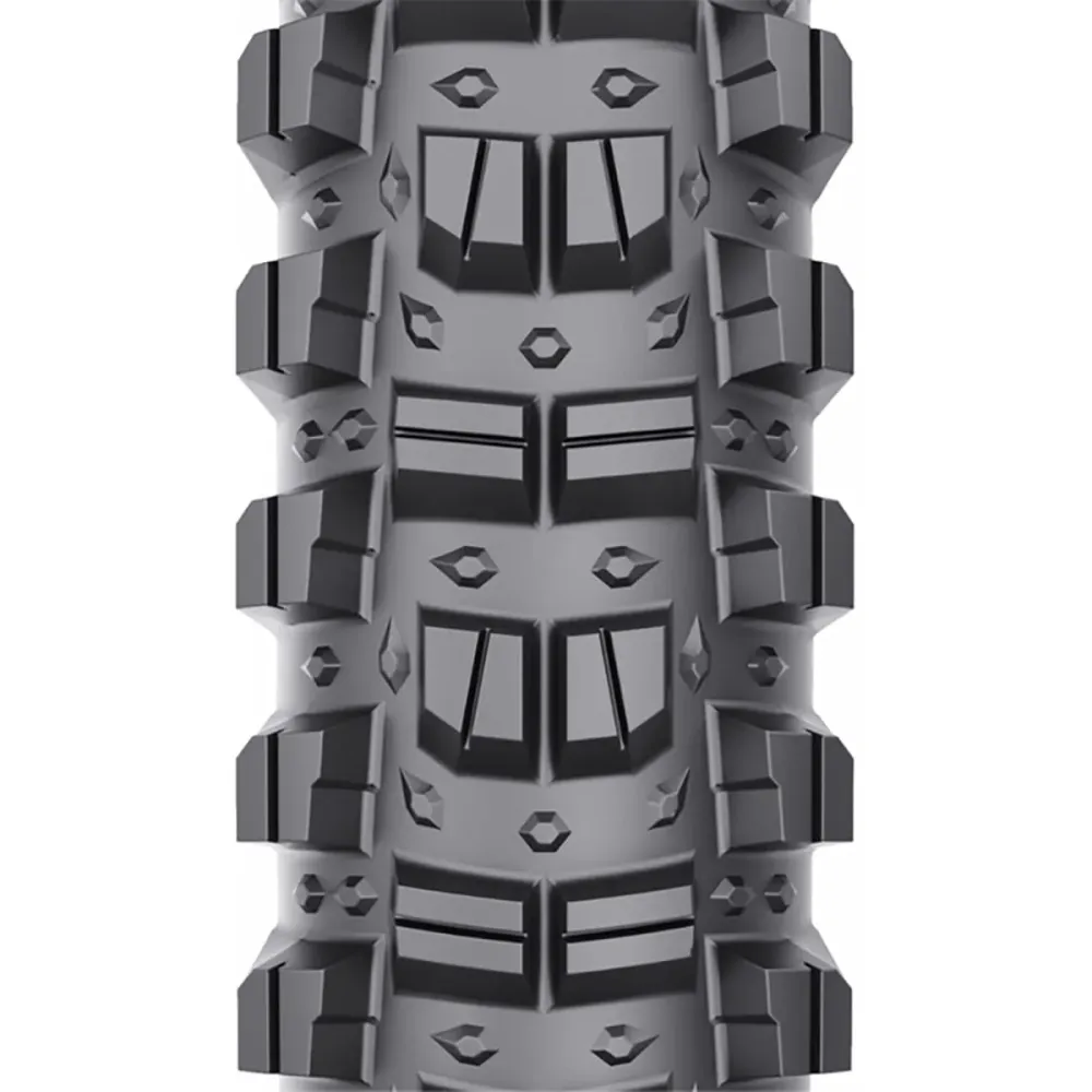 Pneumatika WTB JUDGE 29x2.40 TCS Tough Tubeless Ready Souple W010-0855