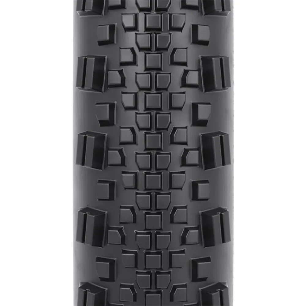 Pneumatika WTB RADDLER 700x40c Tubeless Ready černá