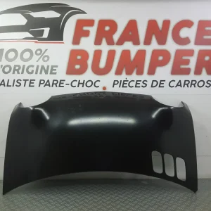 KAPOTA RENAULT TWINGO 2 BRUT