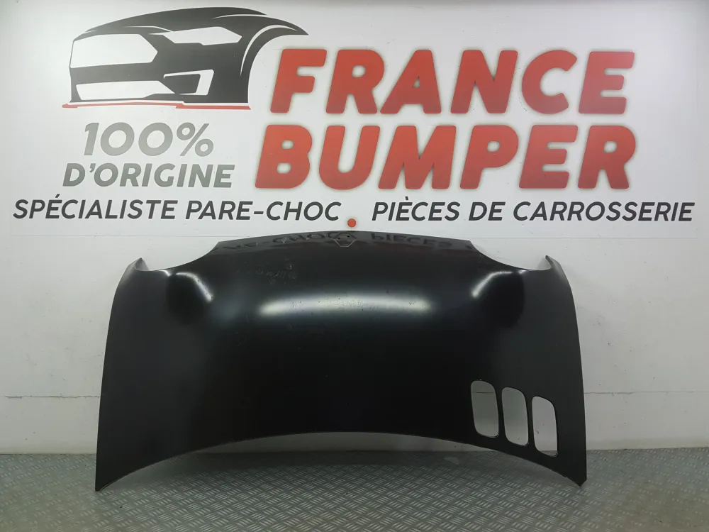 KAPOTA RENAULT TWINGO 2 BRUT