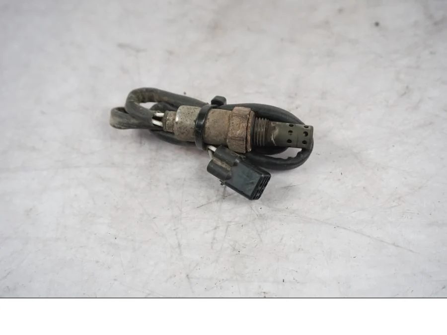 Lambda sonda Triumph