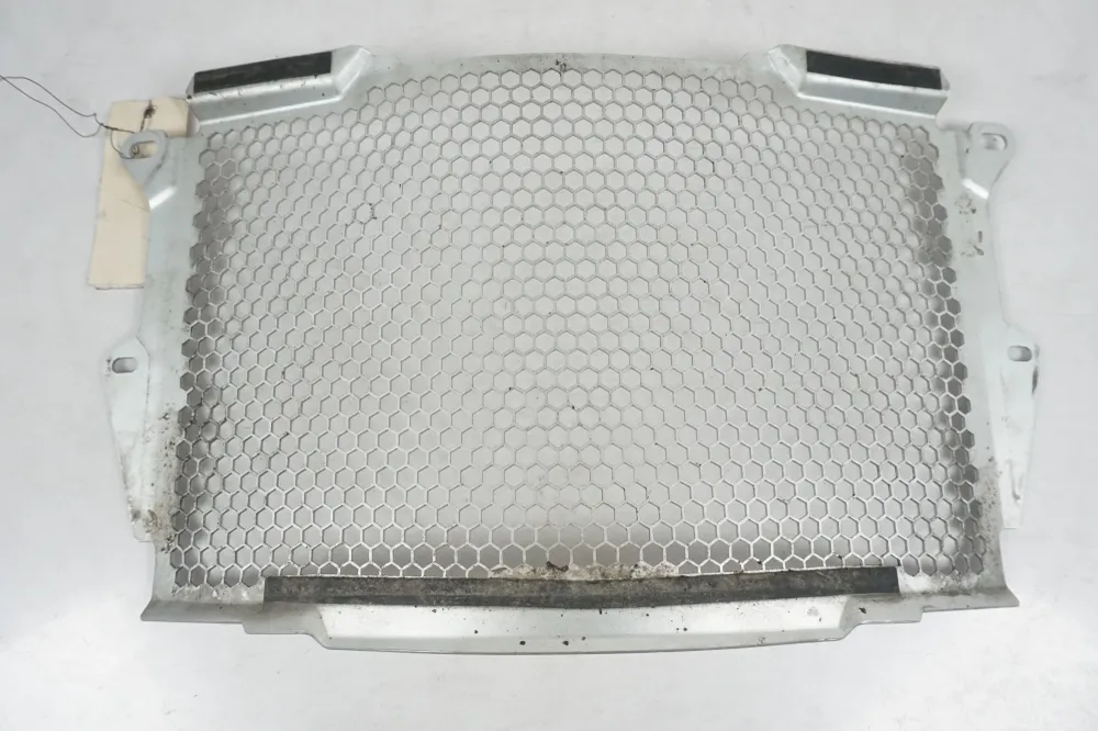 mřížka chladiče Triumph