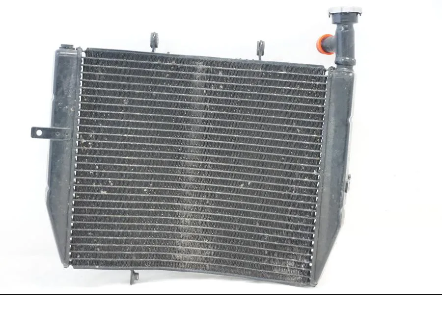 Vodní chladič Triumph